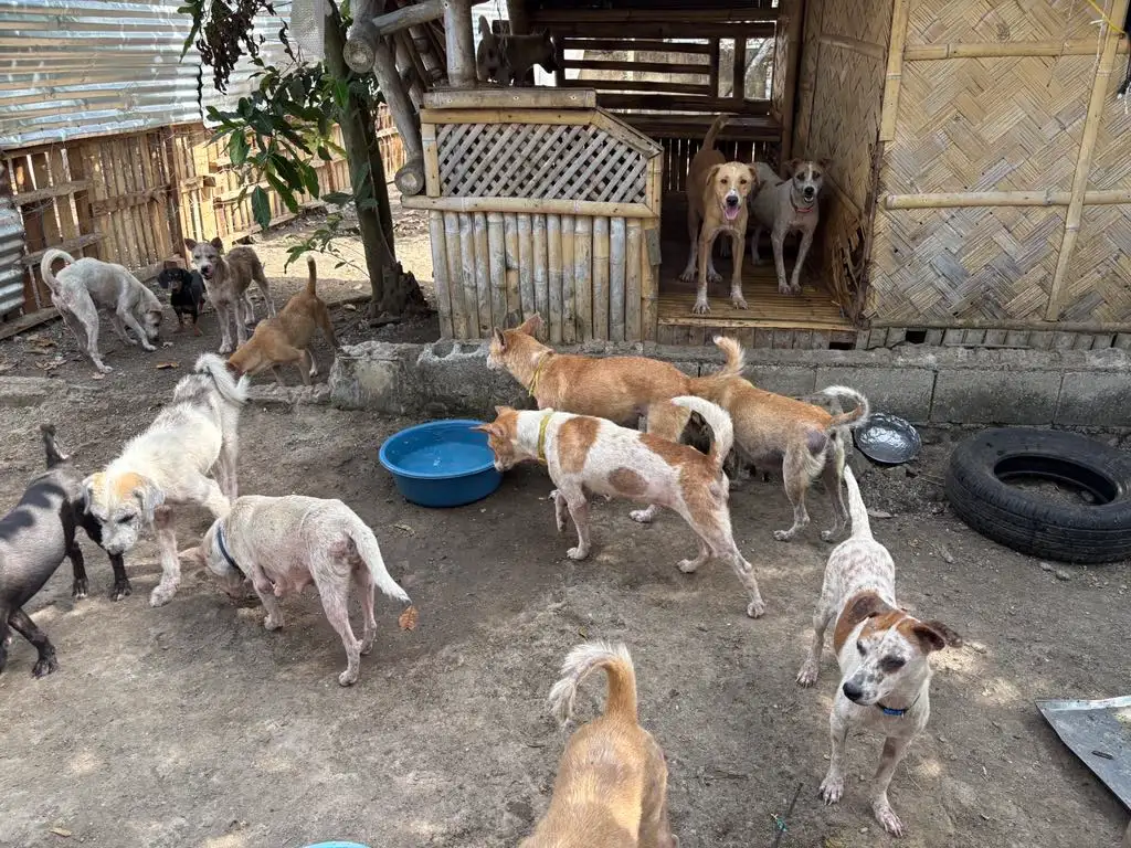 Aspin Recovery